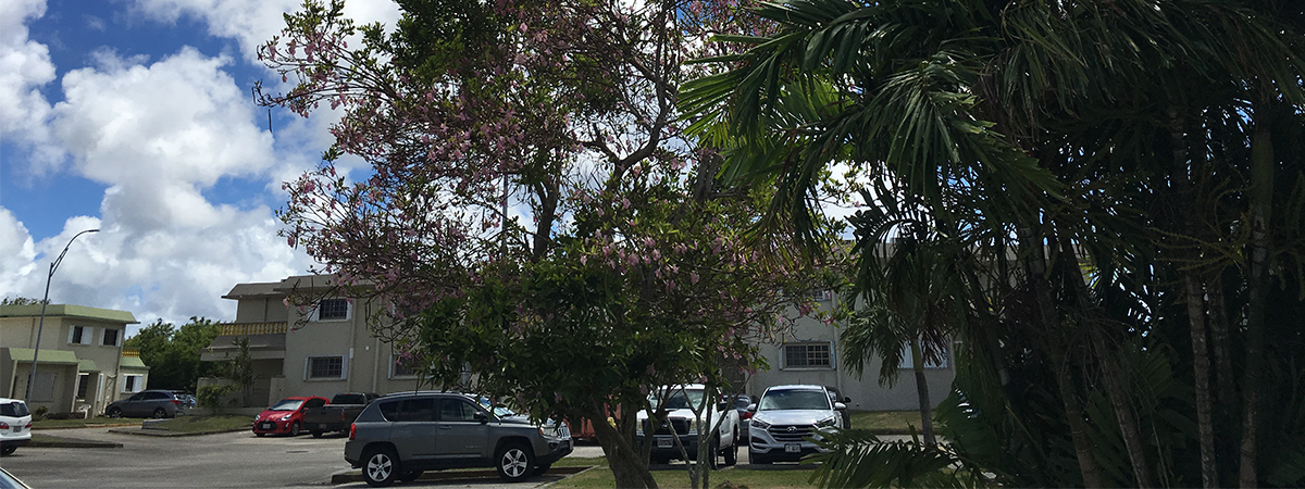 Banner -Horizon Image1.png