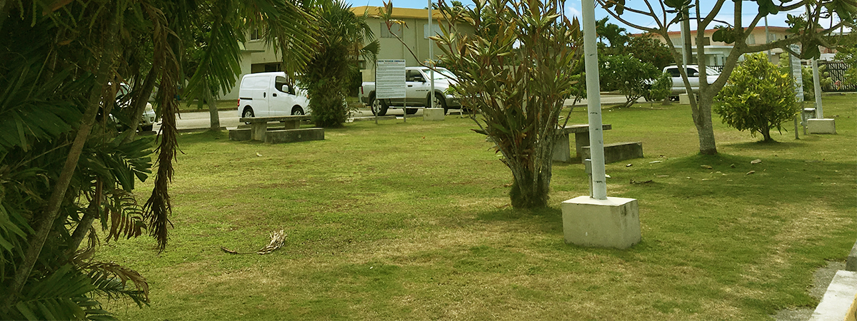 Banner -Horizon Image2.png